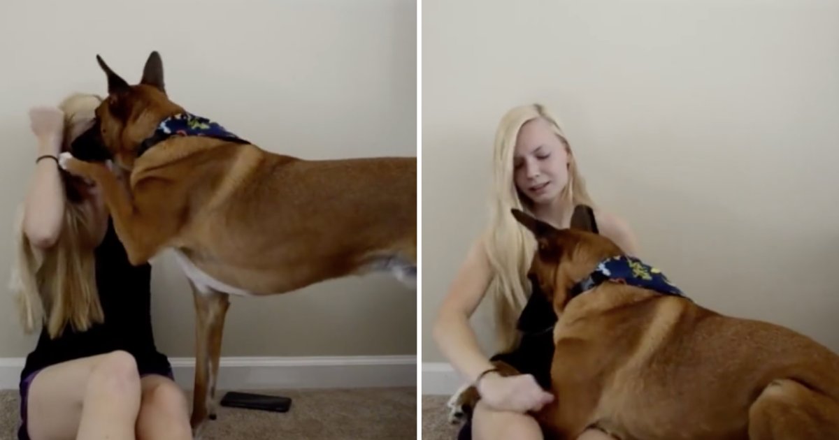 d6 14.png?resize=412,275 - A Service Dog Helps Its Owner During An Anxiety Attack
