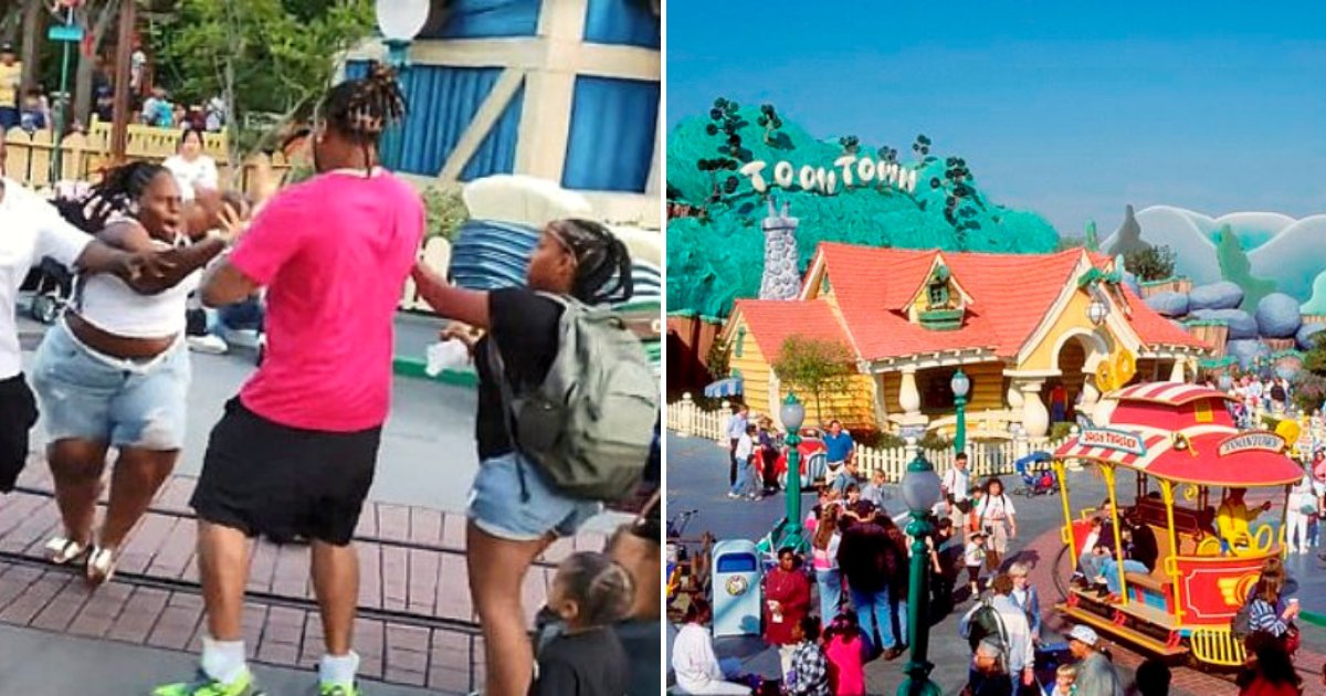 disneyland2.png?resize=412,275 - A Large Fight Broke Out In Disneyland After A Woman Spat On A Man
