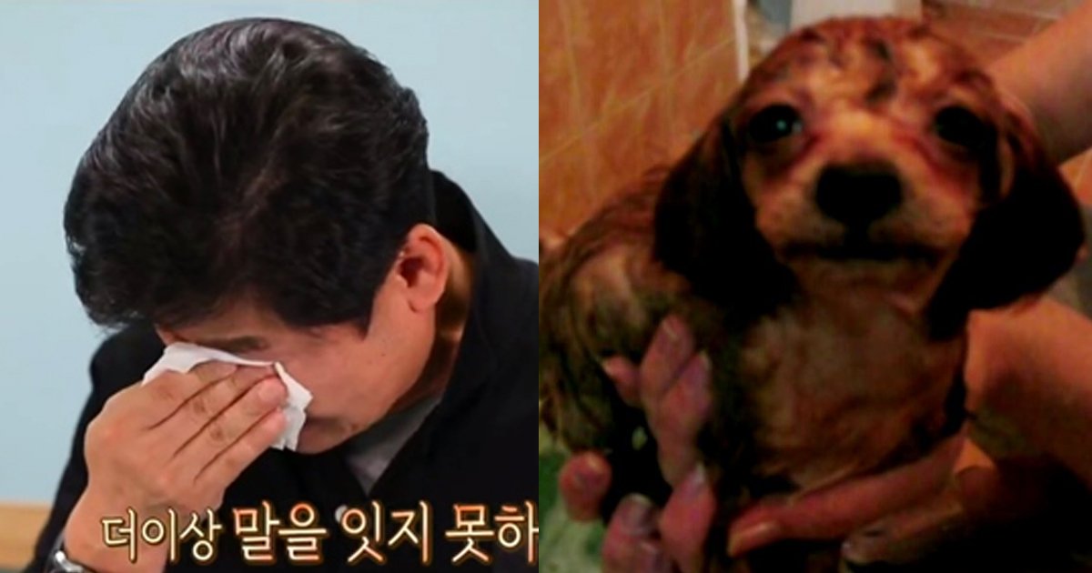 dog 2.jpg?resize=412,275 - "가족 중에 한 사람을 잃은 느낌" ... 눈물 쏟은 이연복, '오래봐도 예쁘다' (영상)