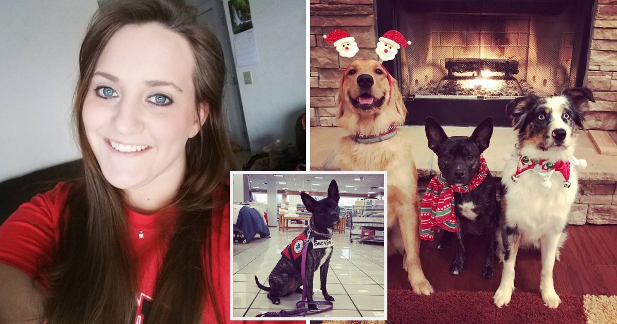 dog6.png?resize=1200,630 - Woman Shares Powerful Message After Kids Hit Her Service Dog While Their Mother Just Stood By