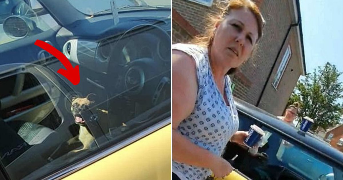 dogincar5.png?resize=412,275 - Man Harshly Criticizes Woman For Leaving Dog In Her Car During The Hottest Day Of The Year