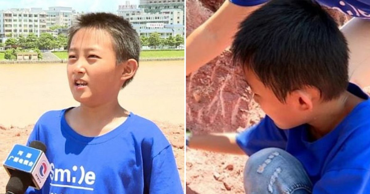 egg6.png?resize=412,275 - 10-Year-Old Boy Accidentally Discovers A Nest Of 11 Dinosaur Eggs While Playing Outdoors