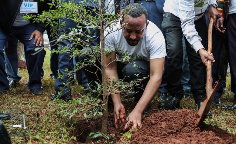 ethiopie2.jpg?resize=412,232 - L'Ethiopie entame un vaste plan de reforestation