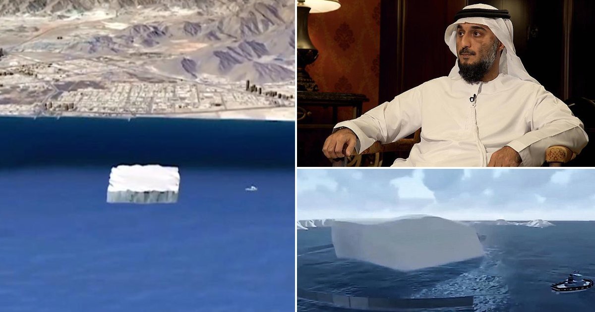 featured image 28.png?resize=1200,630 - Aux Émirats, un homme veut rapporter un iceberg pour palier au manque d'eau potable