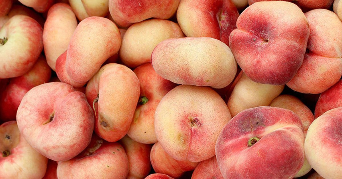 featured image 31.png?resize=412,275 - Donut Peaches Are Now Available And You Need To Try Them This Summer