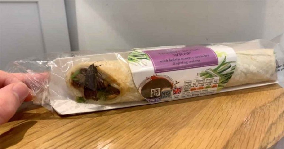 m3 3.jpg?resize=1200,630 - A Man Found A Huge Moth Inside A Sealed Sandwich Wrap