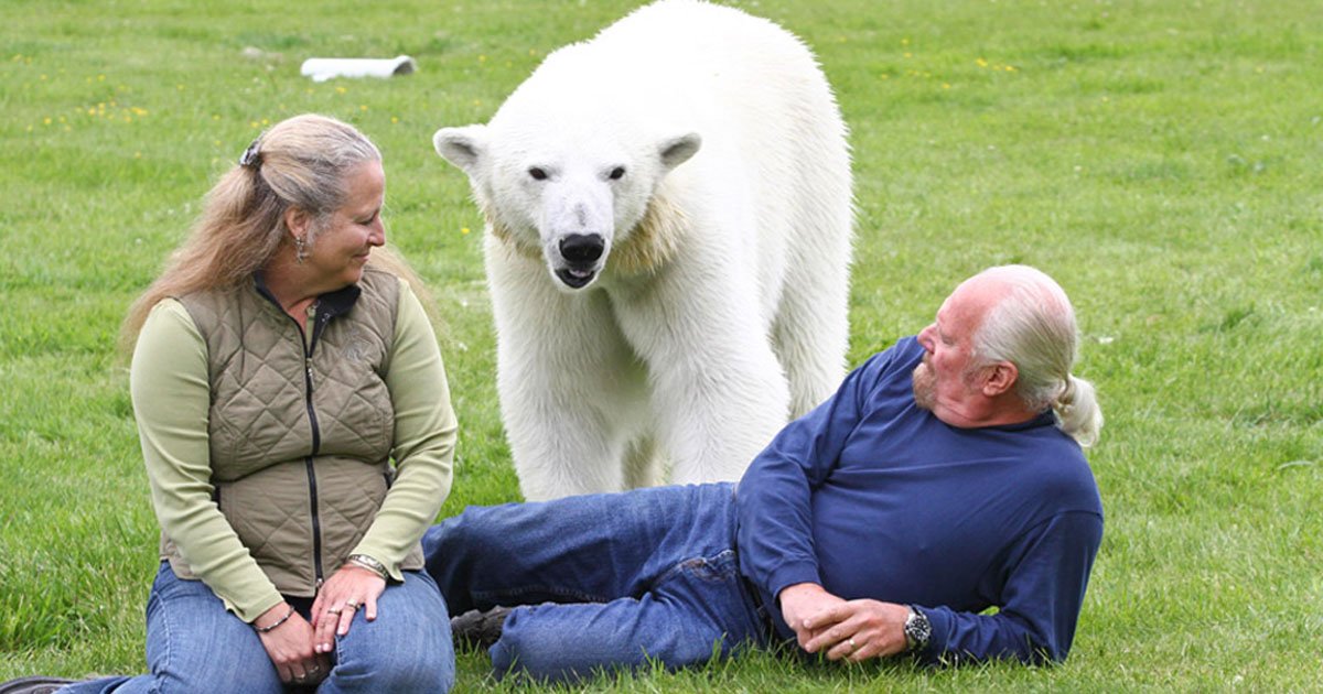 man has polar bear as pet.jpg?resize=412,275 - Découvrez le seul homme au monde qui a un ours polaire comme animal de compagnie