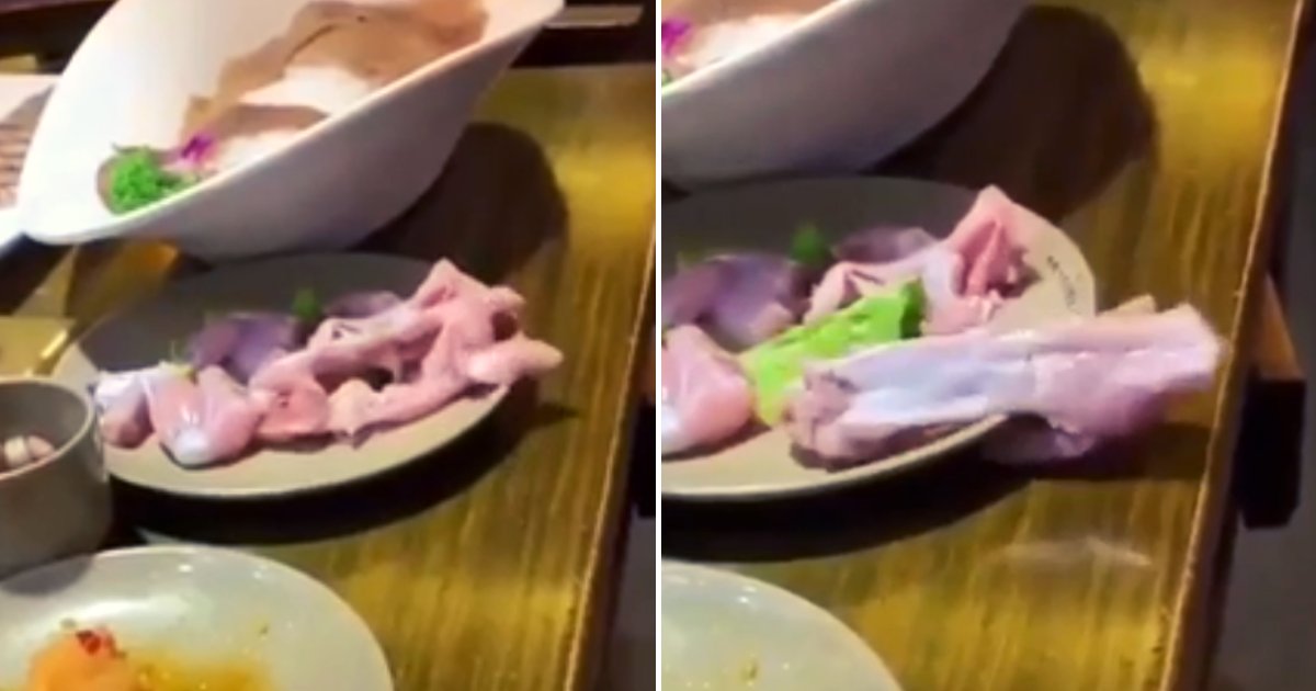 meat5.png?resize=412,275 - Mystery Meat CRAWLS Off Plate And Across Table, Leaving Diners Screaming