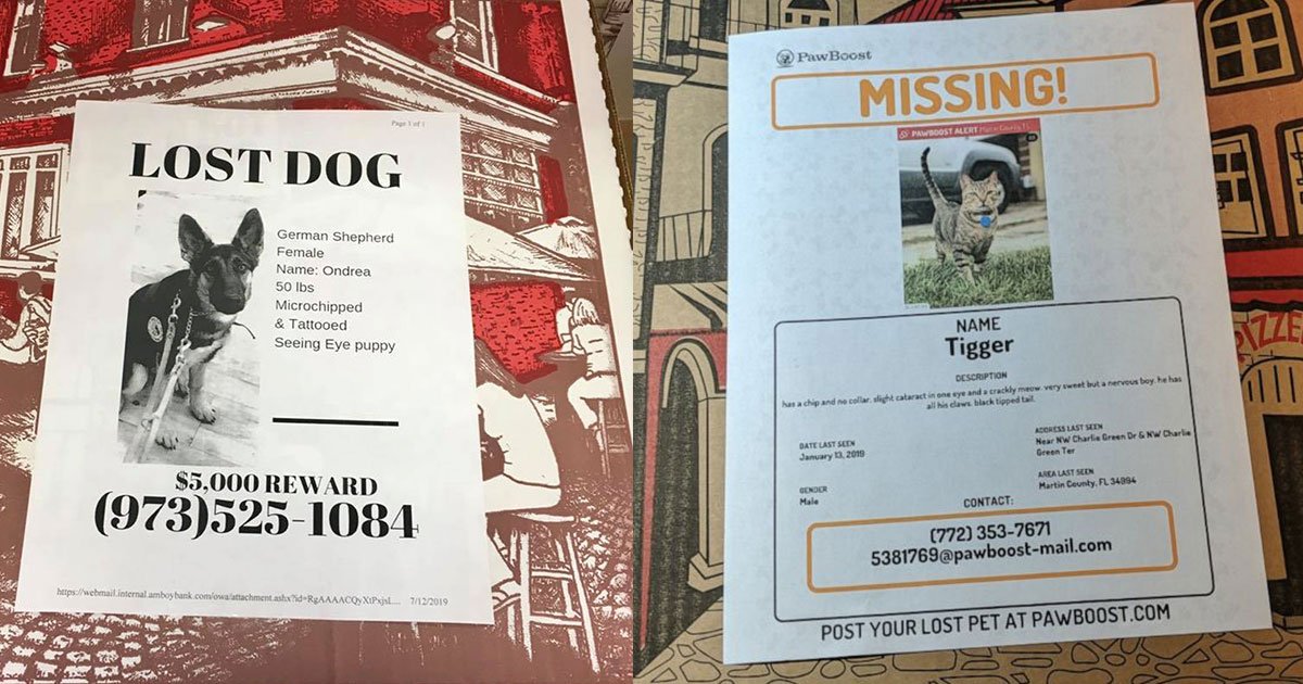 new jersey pizzeria putting flyers of missing pets on pizza boxes to help owners to find their lost pets.jpg?resize=412,275 - A Pizzeria Helps Owners Find Their Lost Pets By Putting Flyers Of Missing Pets On Their Pizza Boxes