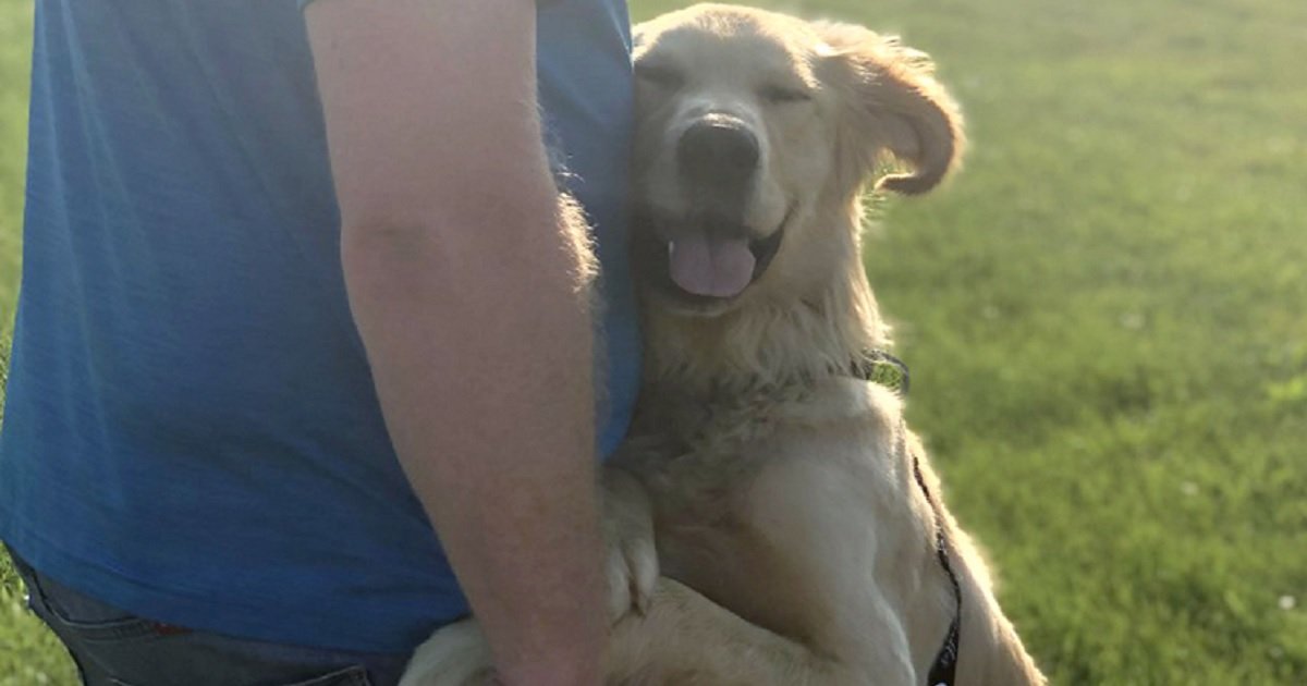 r3 2.jpg?resize=1200,630 - Grand moment d'émotions : quand un chien de refuge rencontre sa nouvelle famille pour la première fois