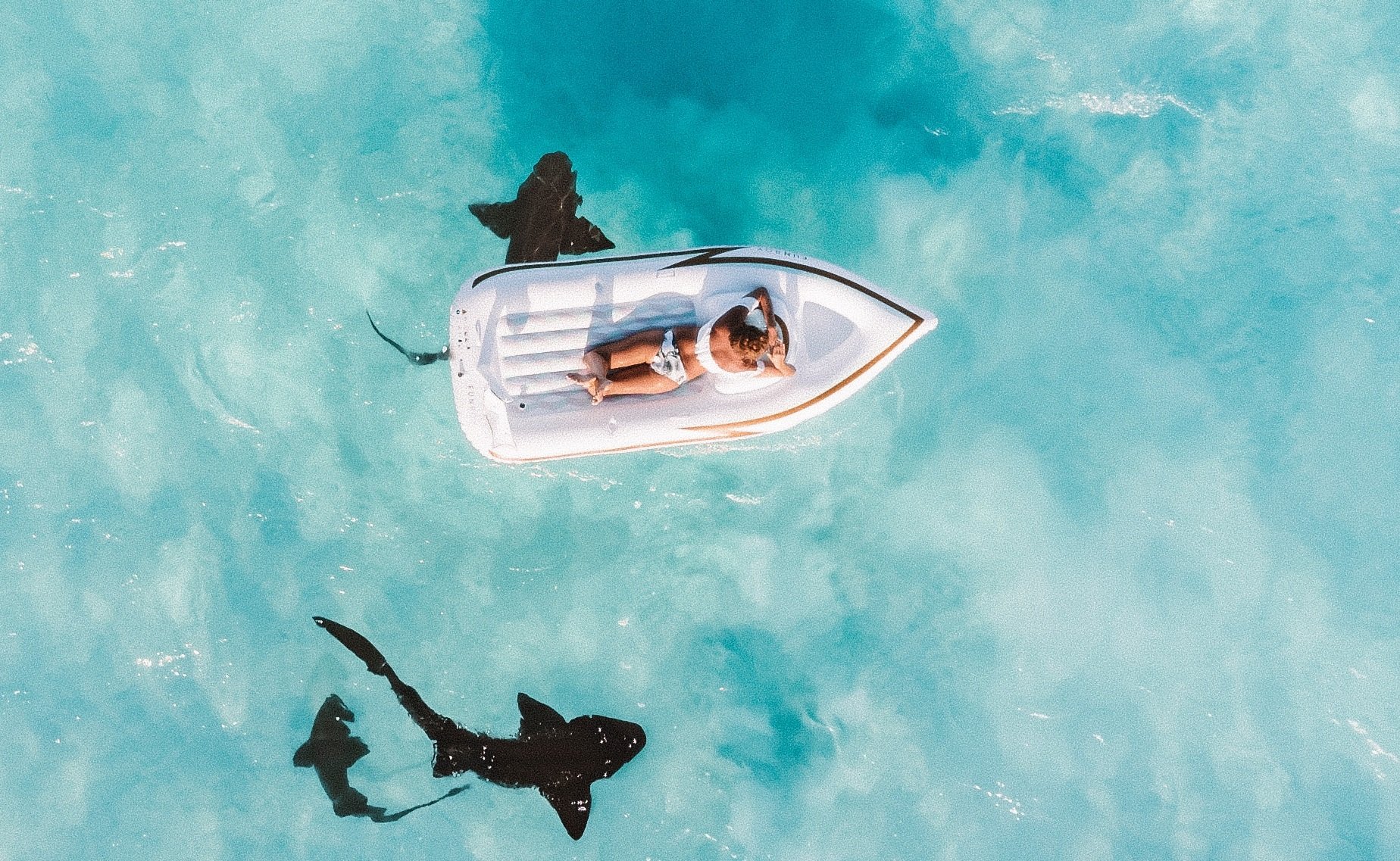 requins2.jpg?resize=1200,630 - Un père de famille filmait ses enfants avec son drone et repère un requin en train de s'approcher..