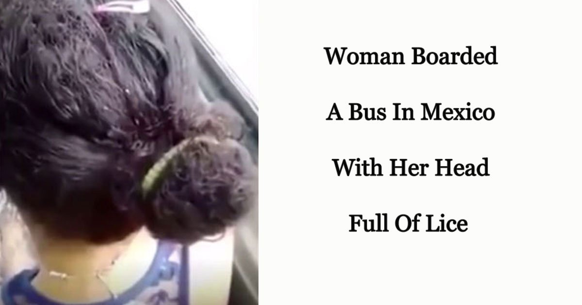 s 18.jpg?resize=1200,630 - A Bus Passenger Shared A Video That Shows Lice Crawling On A Woman’s Hair