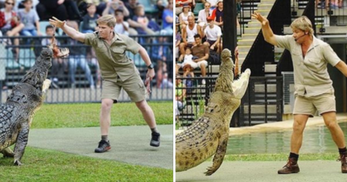 s1 3.png?resize=412,275 - Steve Irwin's Legacy Continues As His Family Carries On His Ideals