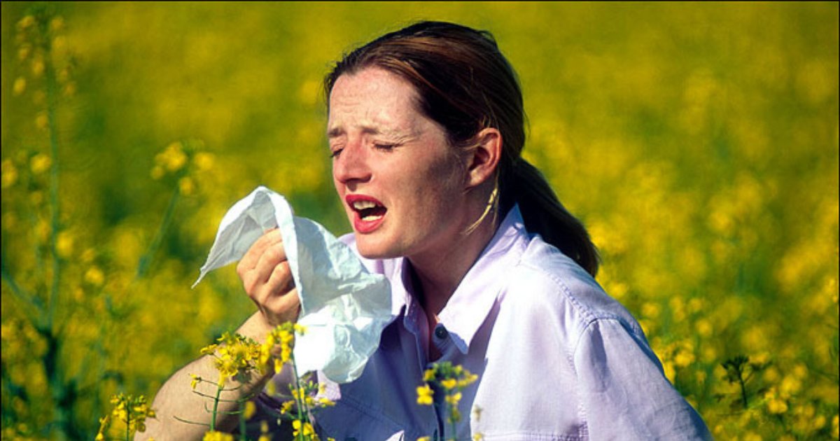 s4 19.png?resize=1200,630 - High Risk of An Asthma Attack In the UK Because of Pollen Surge and High Heat