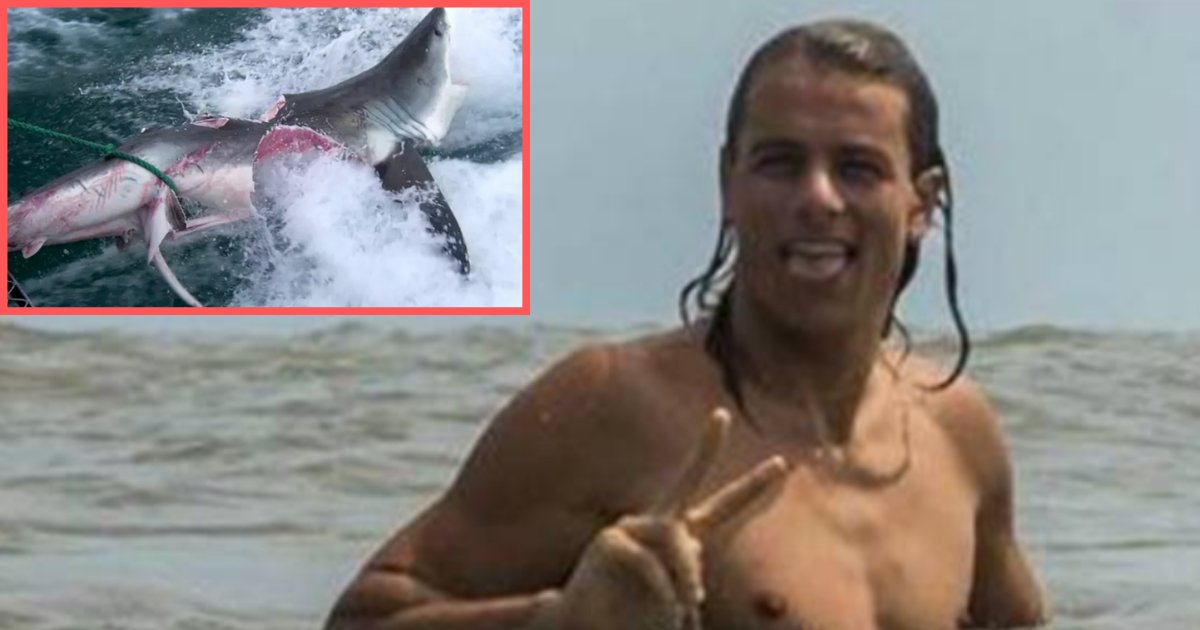 s4 23.png?resize=1200,630 - Un surfeur qui s'est fait mordre par un requin s'est rendu dans un bar pour boire un verre avant d'aller chez le médecin