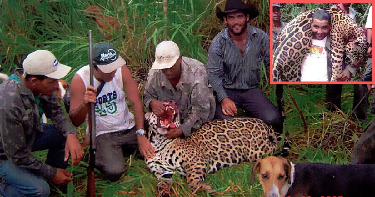 s4 7.png?resize=1200,630 - Un dentiste qui a tué 1000 jaguars protégés s'est fait arrêter
