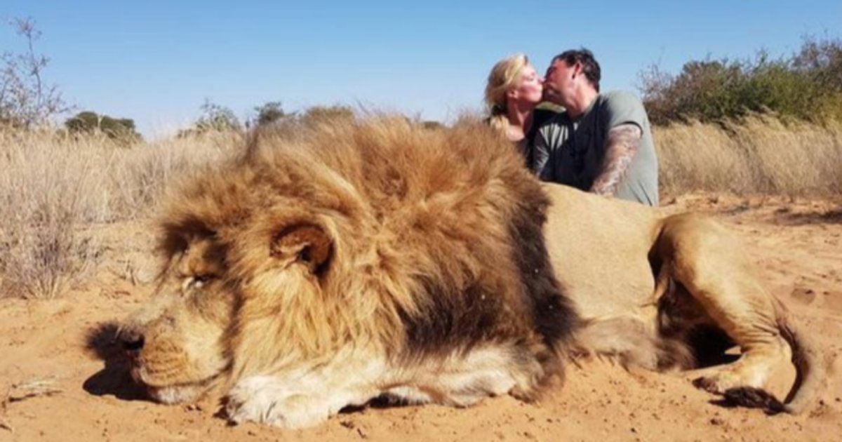 s5 14.png?resize=412,232 - Man Who Posed With Dead Lion Is Disowned By His Daughter