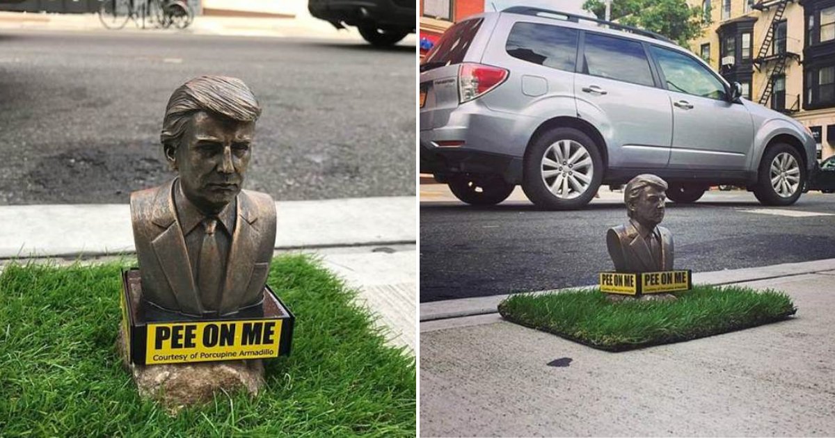 statue5.png?resize=1200,630 - Tiny Statues Of President Trump With Signs Inviting Dogs To Pee On Them Have Appeared Across Brooklyn