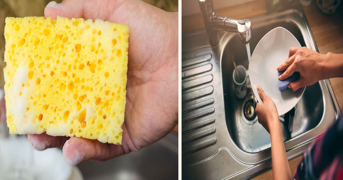 untitled 1 81.jpg?resize=412,275 - How To Clean Your Kitchen Sponge To Avoid Spreading Germs