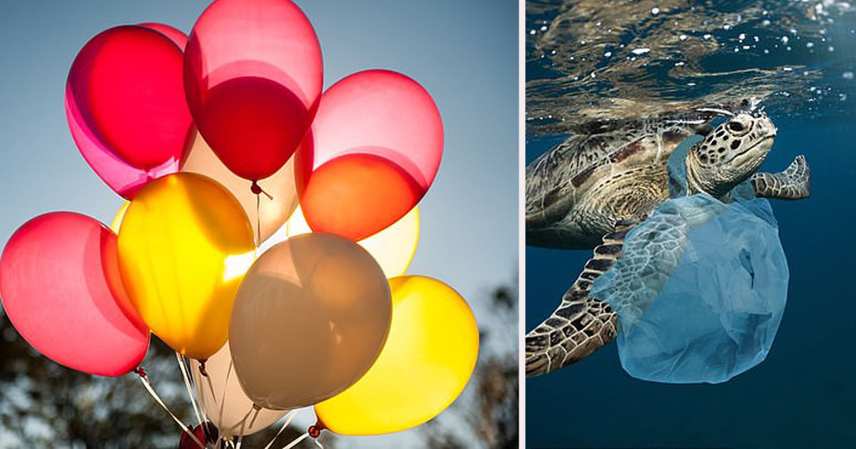 untitled 1.jpg?resize=412,275 - Releasing Helium Balloons Could Soon Be Illegal In Western Australia
