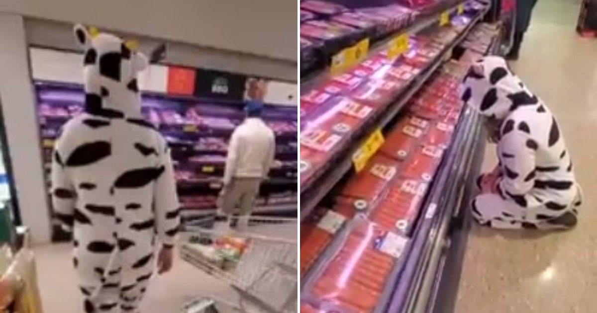 untitled design 27.png?resize=412,275 - Vegan Activist Wore A Cow Costume And Mourned At The Meat Section In Supermarket