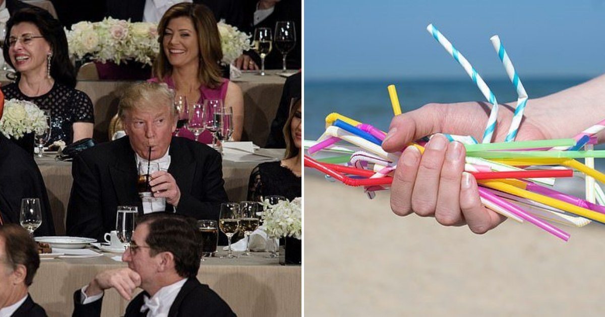 untitled design 68 1.png?resize=1200,630 - Trump Campaign Sold 10 Plastic Straws for $15 Because ‘Liberal Paper Straws Don't Work’