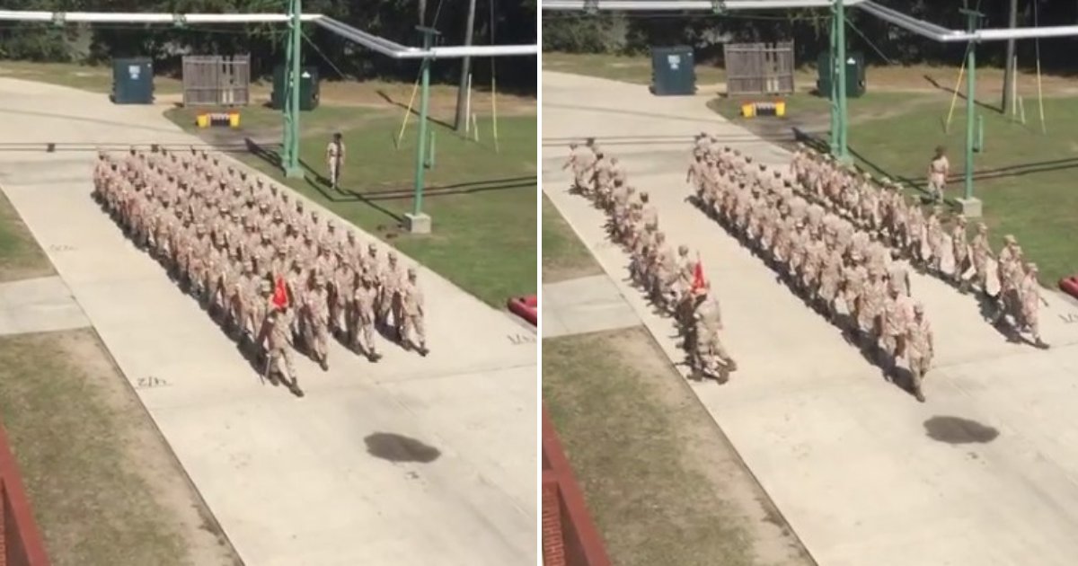 untitled design 81.png?resize=1200,630 - Marine Platoon Performs 'Monkey Drill' Which Is Entirely Improvised