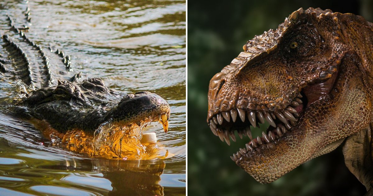 untitled design 93.png?resize=412,275 - Epic Showdown Between Alligator And T-Rex – Who Will Emerge Victorious!?