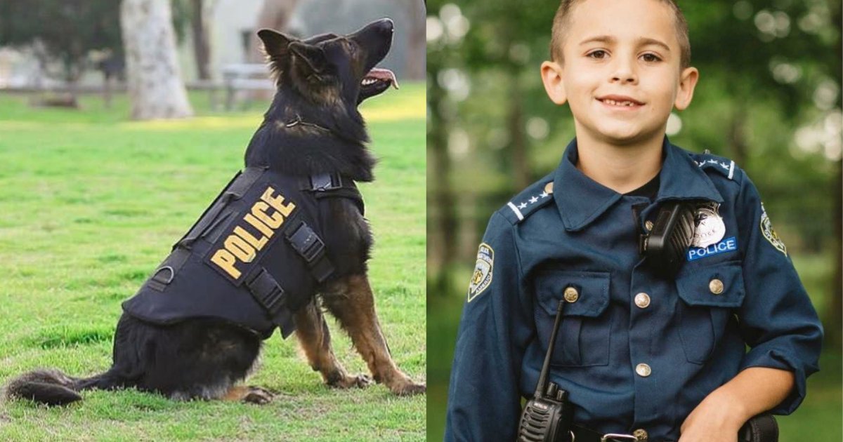 y2 2.png?resize=412,232 - Un enfant de neuf ans recueille près de 80 000 € pour fournir aux chiens policiers des gilets pare-balles