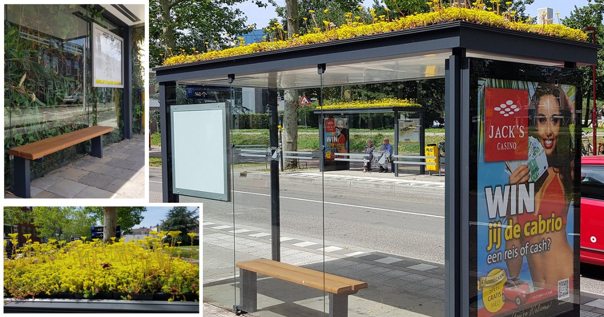 y3 10.png?resize=1200,630 - Dutch City Coats 316 Bus Shelters with Plants to Promote Bees