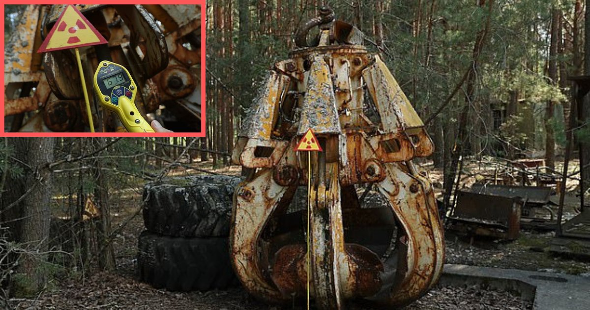 y3 7.png?resize=1200,630 - Cette grue, retrouvée dans une forêt de Tchernobyl, nous rappelle la catastrophe qui a terrifié le monde