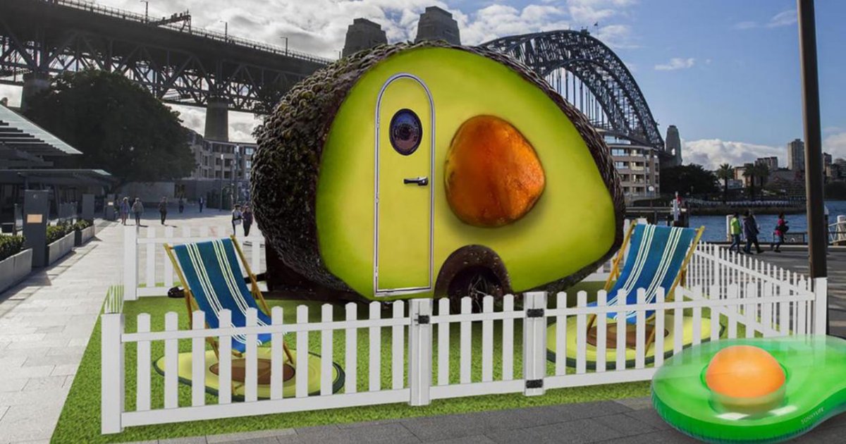 y6 15.png?resize=1200,630 - Here is the Avocado You Can Live in for Just $70 a Night in Australia