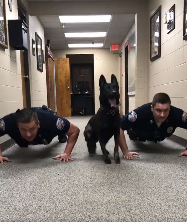 push ups before bed