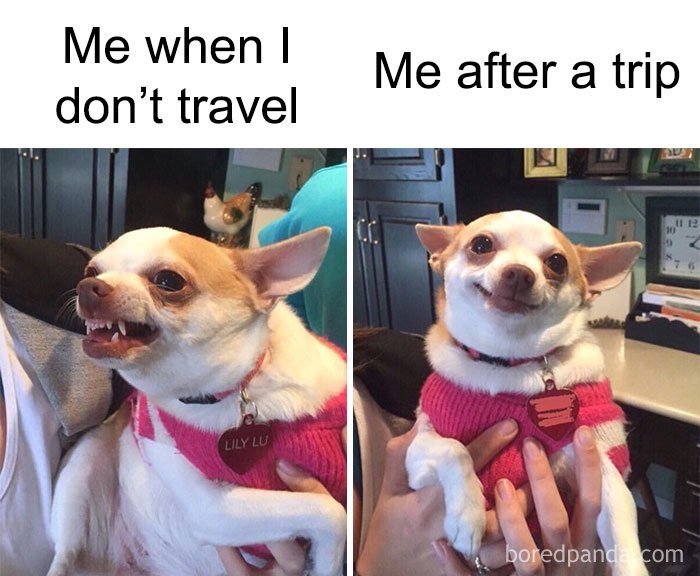 Funny-Travel-Memes