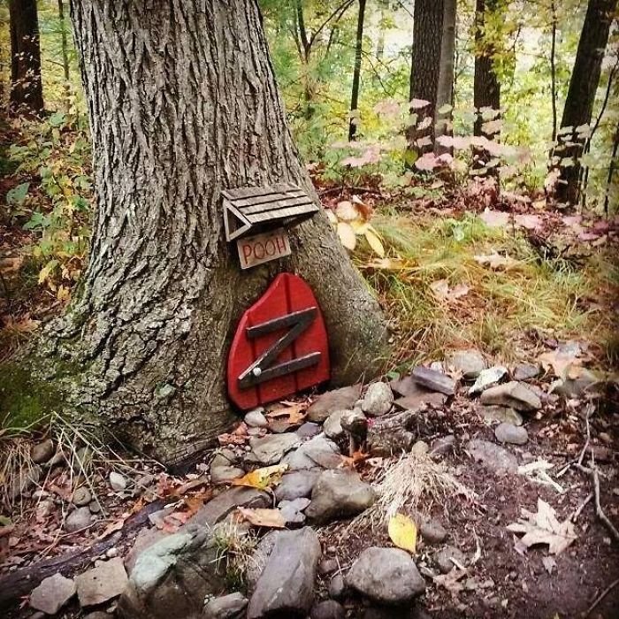 Found This In The Woods While Trail Riding