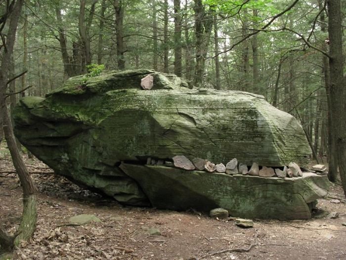 Buddy Of Mine Came Across This Dinosaur In The Woods The Other Day