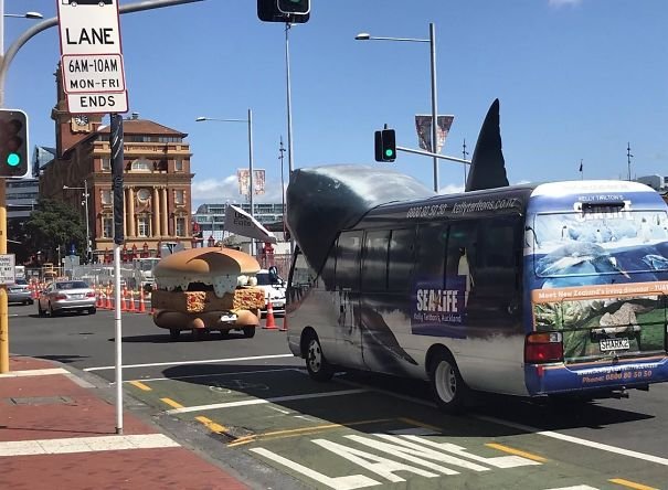 A Shark Bus Chasing A Fillet ‘O Fish In Auckland