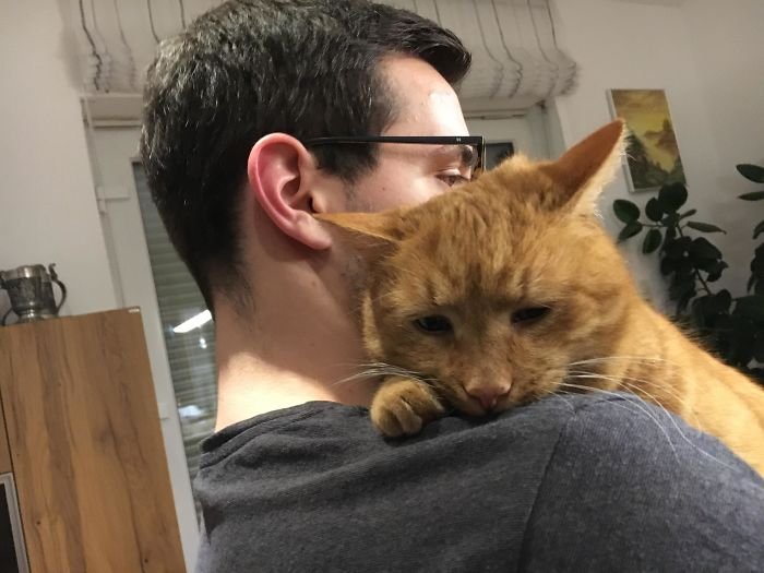 My Boyfriend Is Comforting Our Cat, He Had A Rough Day