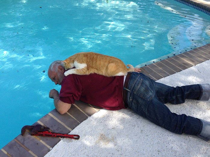 My Dad Fixing The Pool. His Cat Likes To Help. He Would Tell You Otherwise, But He Loves That Cat