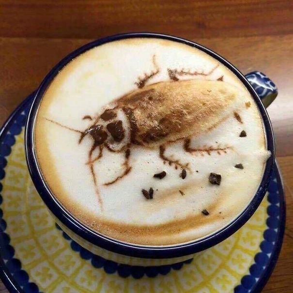 This Cockroach Cappuccino