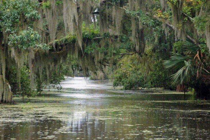 Pantanos de Louisiana en Estados Unidos 