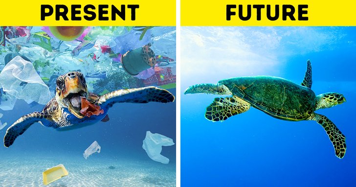 A Woman Invented a New Kind of Plastic That Biodegrades in Water, and Itâs a Step Oceans Are Crying For