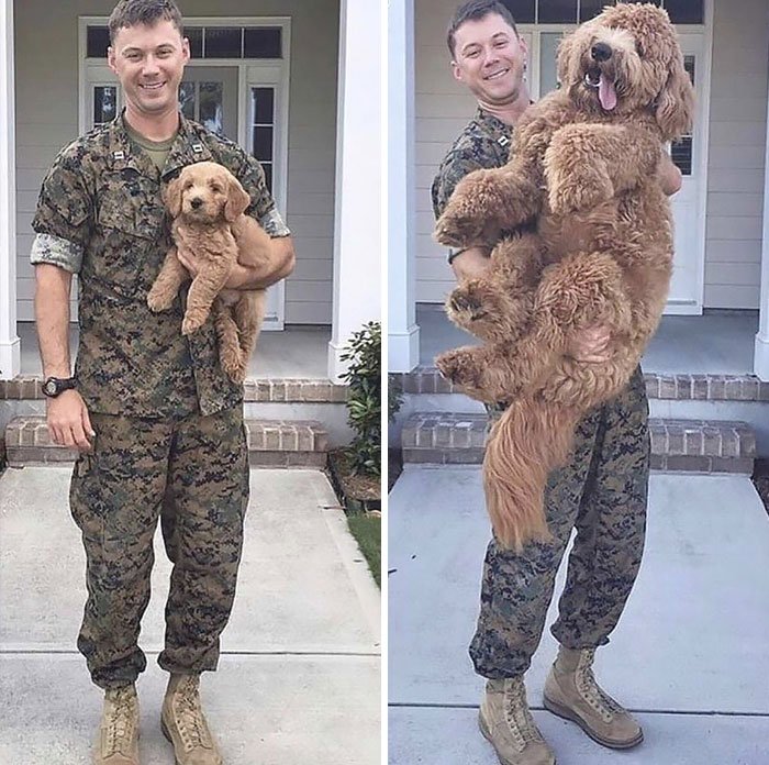 Before Deployment... After Deployment