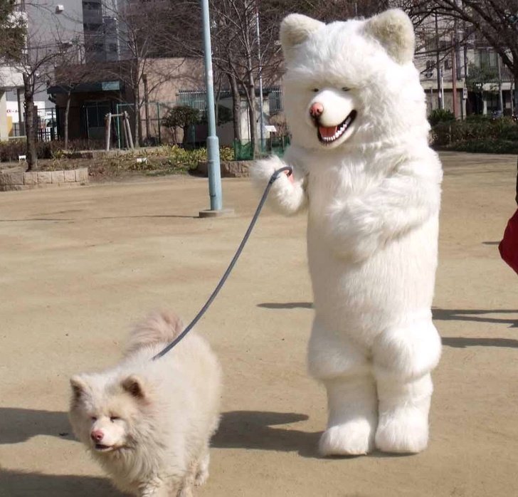 20 Unforgettable Times Pets Had Fun With Their Hoomans