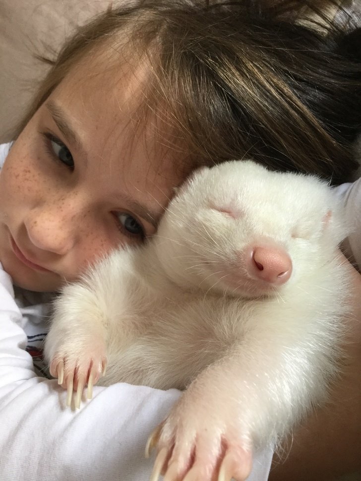 24 Albino Animals Who Are As Real As Your Life