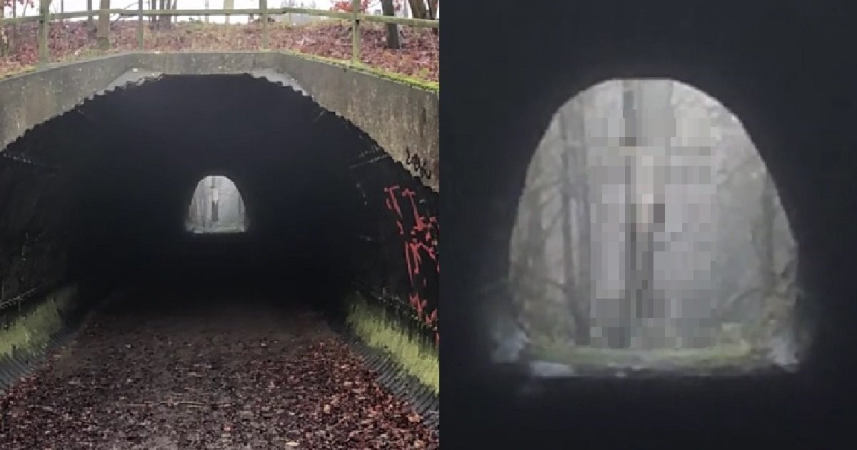 5 71.jpg?resize=412,232 - 귀신이 자주 출몰한다는 '공포의 터널'에서 찍힌 '충격적인 물체'
