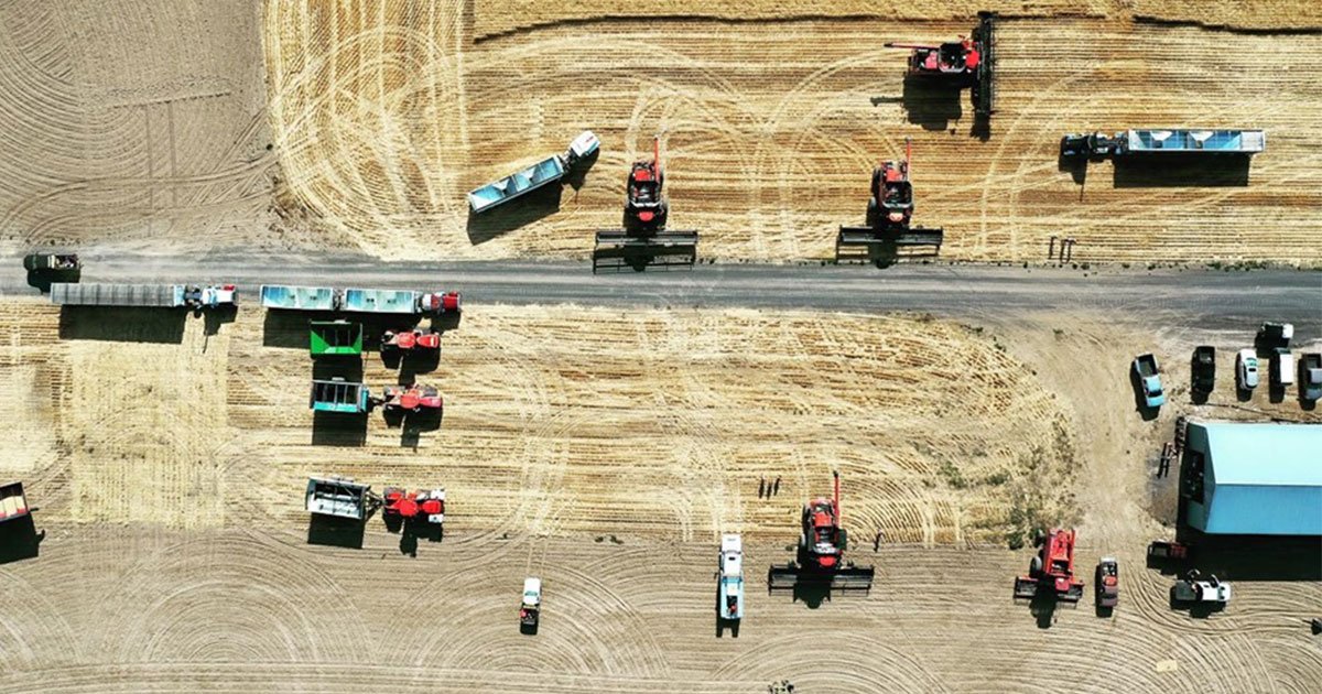 60 farmers harvest wheat crop for neighbor battling stage 4 cancer.jpg?resize=1200,630 - Fellow Farmers Harvested Wheat Crop For Their Neighbor Who Is Battling Stage 4 Skin Cancer