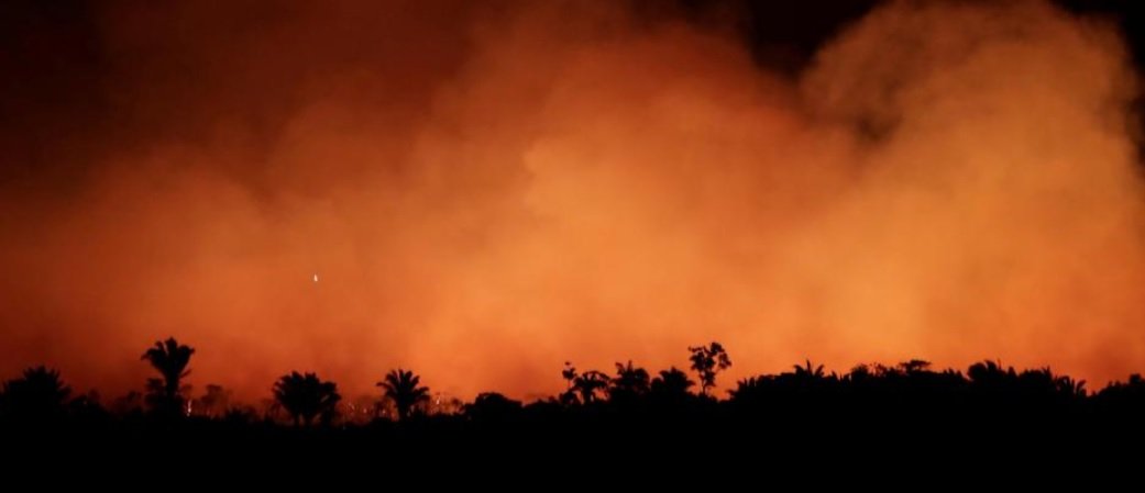 amazonia.jpg?resize=1200,630 - Alerte Incendies: Des feux de forêt ravagent l'Amazonie