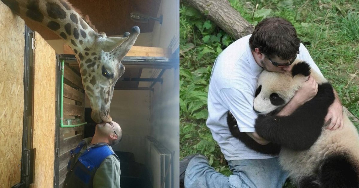 animal love.png?resize=412,275 - 20+ Touching Animals Photos That Show Unconditional Love