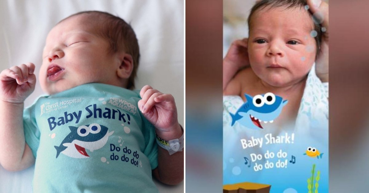 baby4.png?resize=412,275 - Babies Born During Shark Week Will Receive Adorable Gifts From A Hospital And Their Parents Will Also Get Freebies